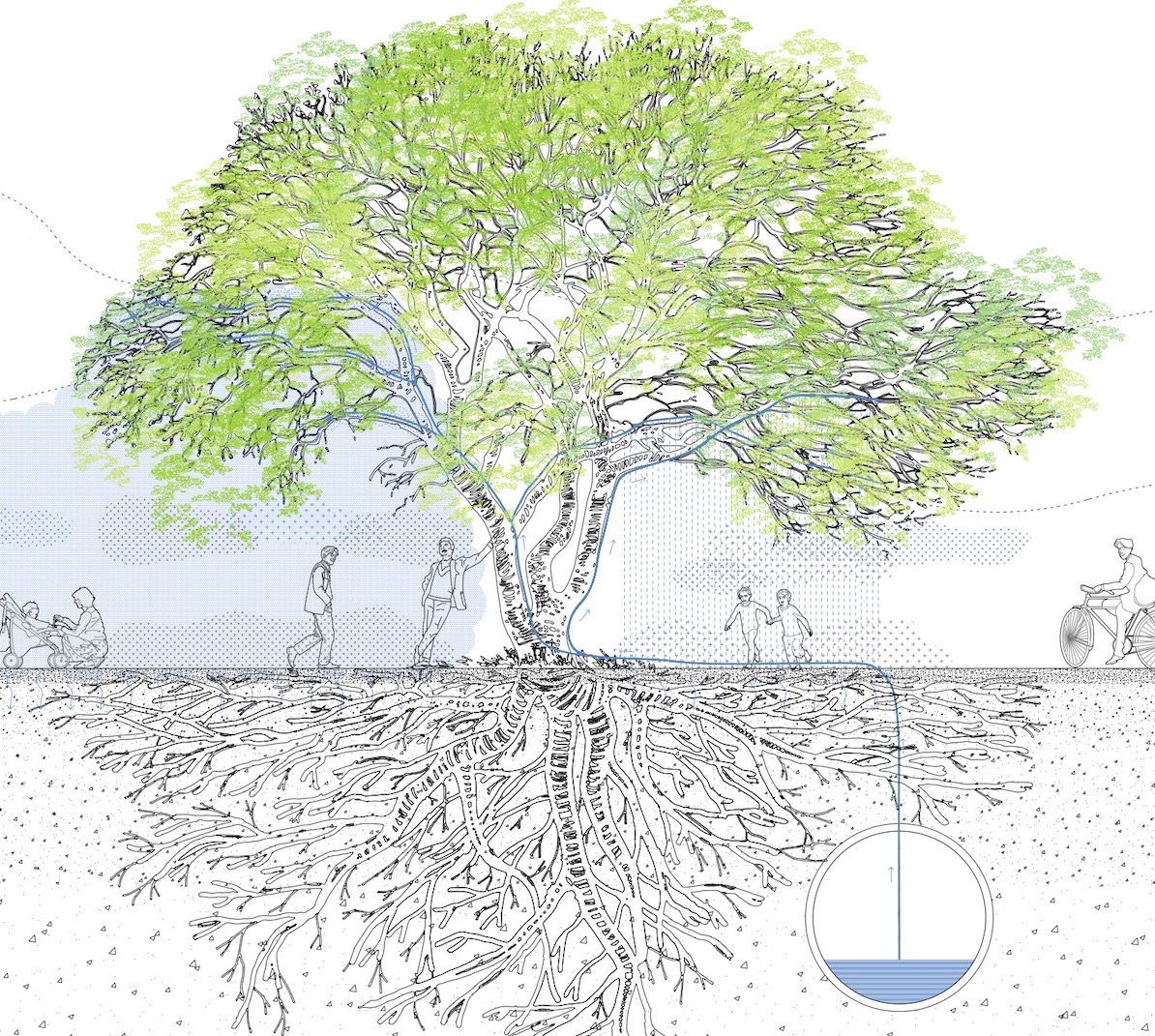dlabac-ch-projects-lausanne-jardins-arbre-de-la-pluie-section